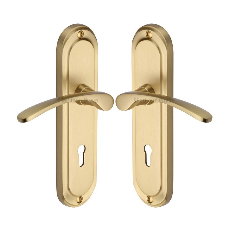 Ambassador Door Handle on Plate - AMB6200-SB
