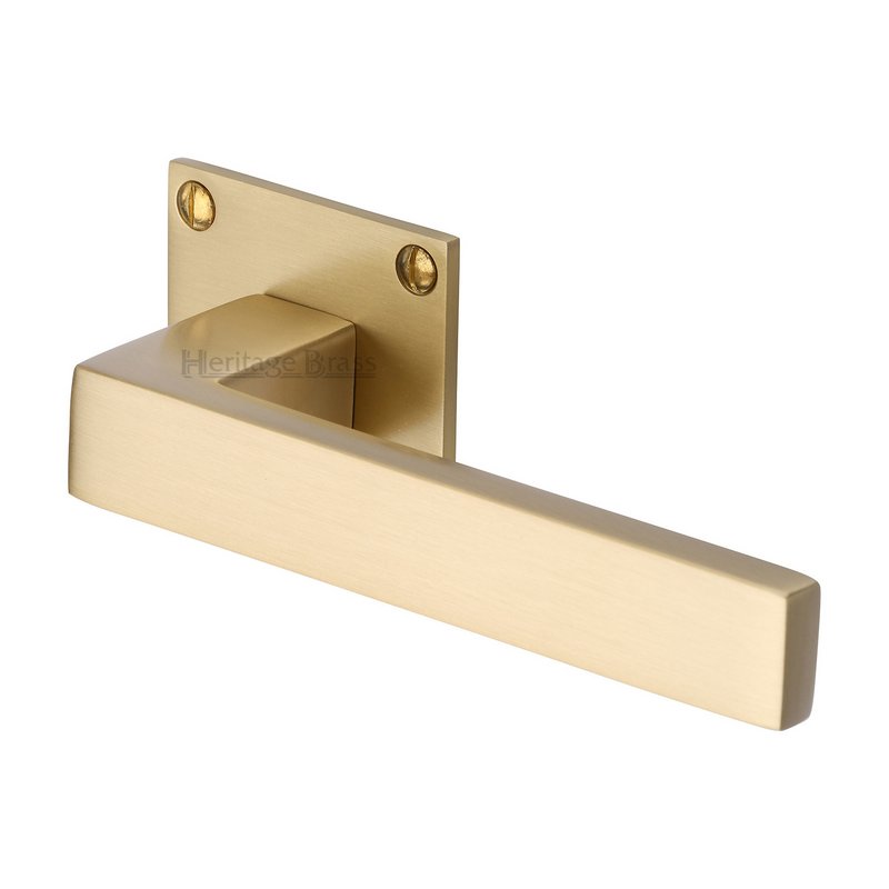 Delta BH Door Handle on Square Rose - BAU1928-SB