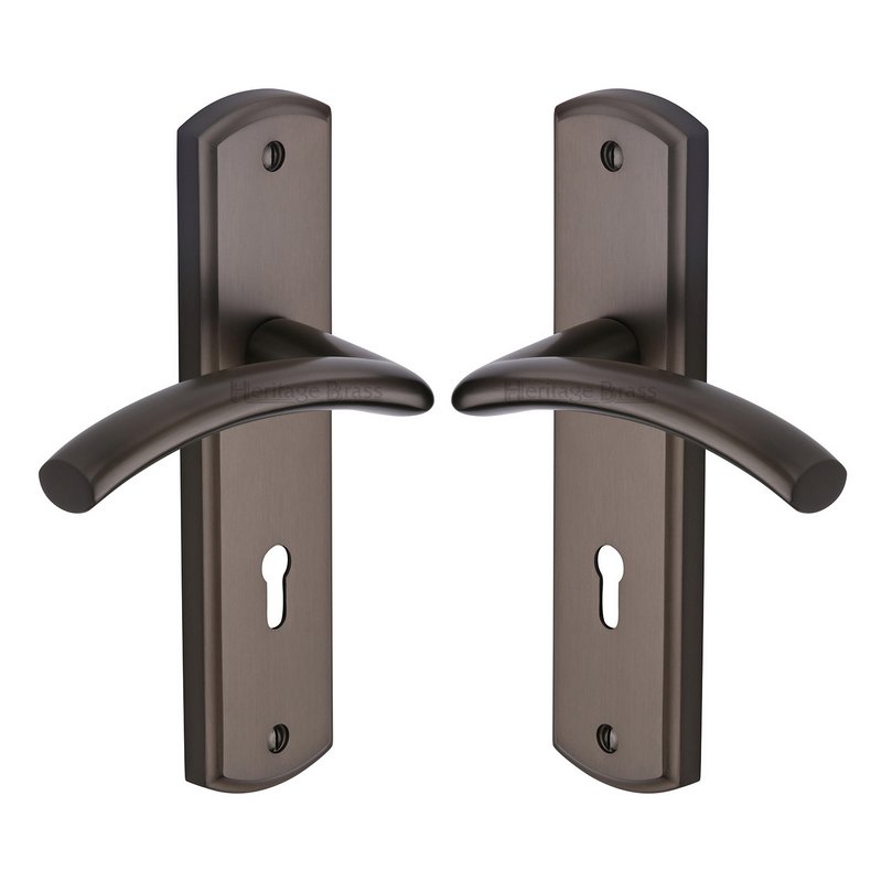 Centaur Door Handle on Plate - CEN1000-MB
