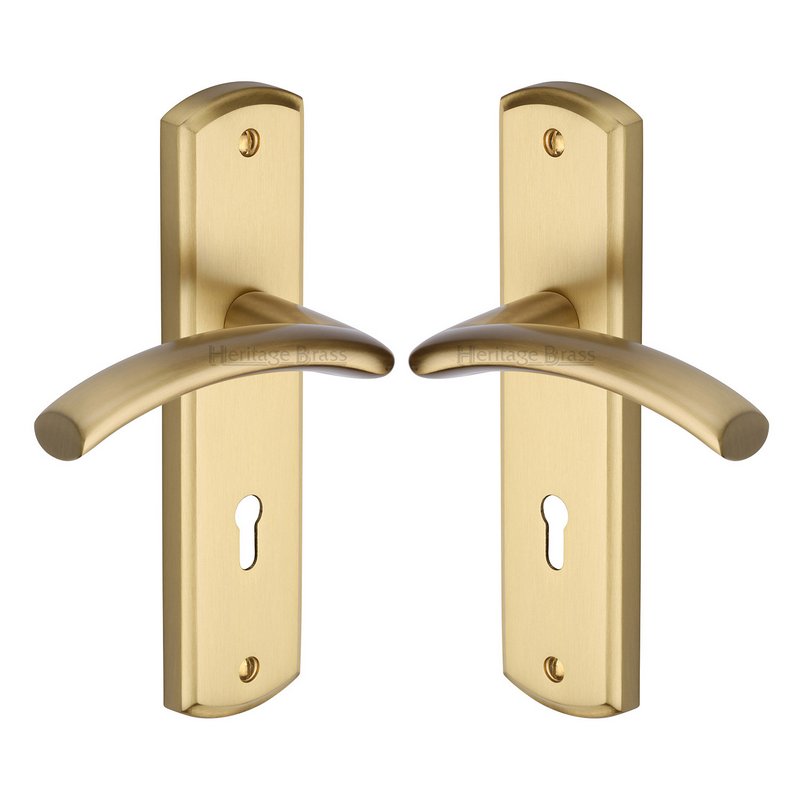 Centaur Door Handle on Plate - CEN1000-SB