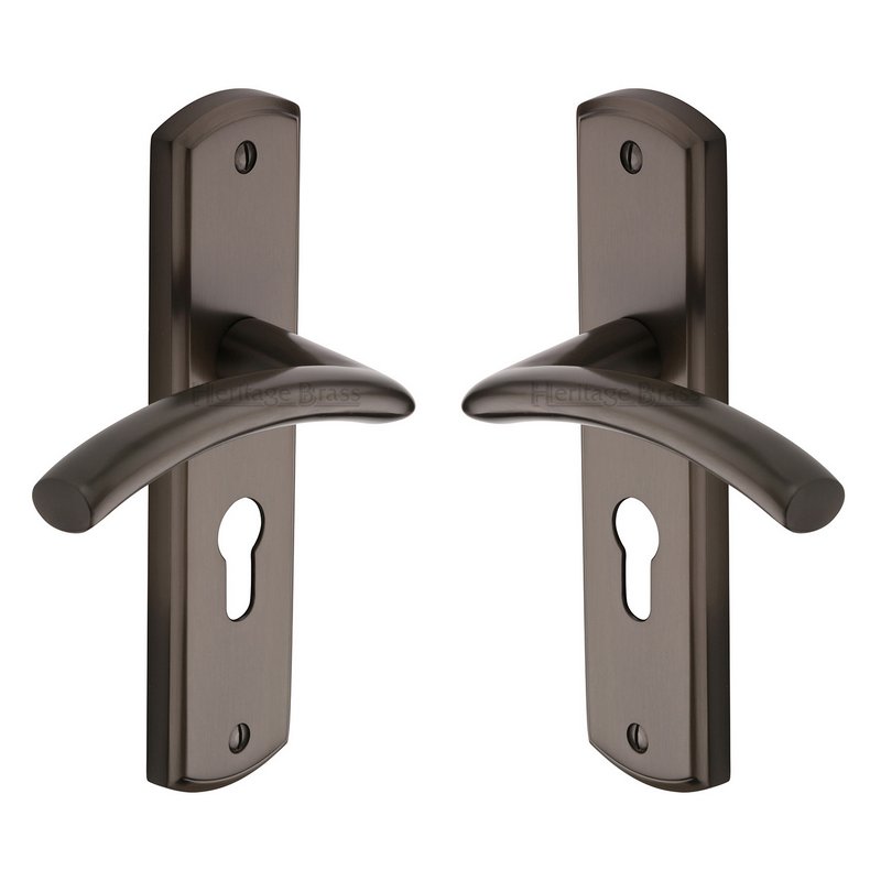 Centaur Door Handle on Plate - CEN1048-MB