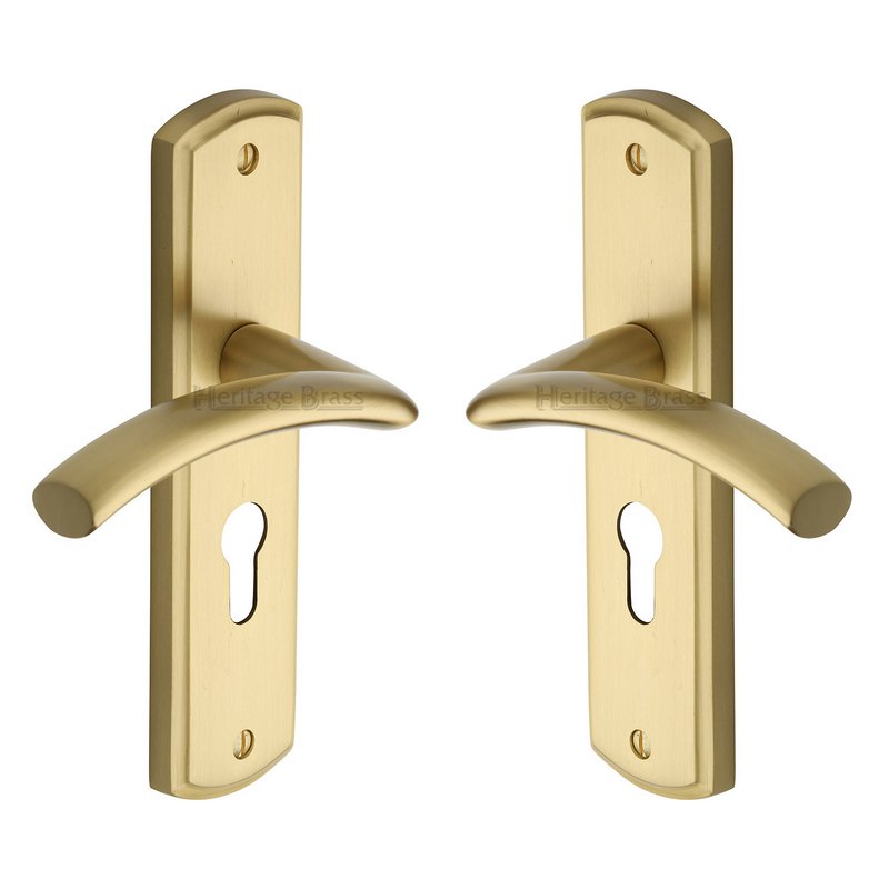 Centaur Door Handle on Plate - CEN1048-SB