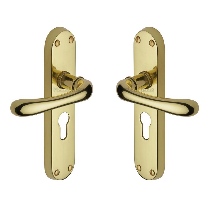 Luna Door Handle on Plate - LUN5348-PB