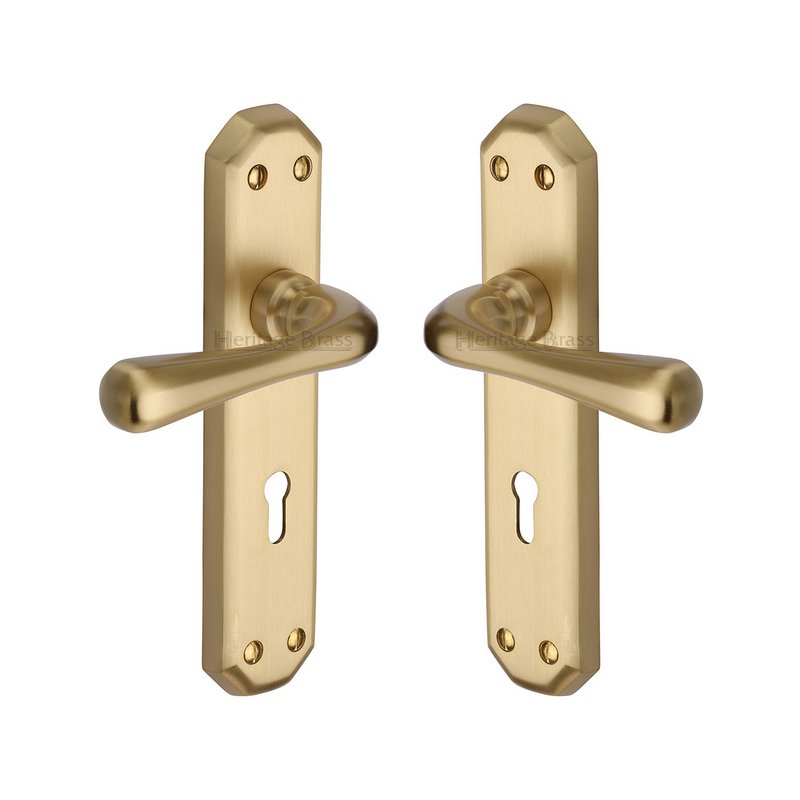 Charlbury Door Handle on Plate - V7050-SB
