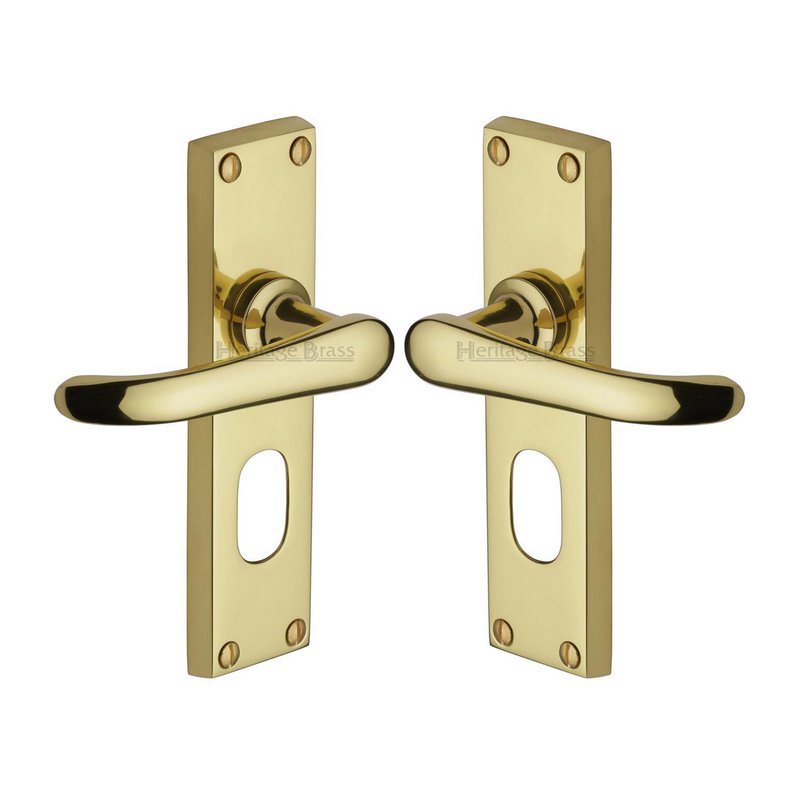 Windsor Door Handle on Plate - V725-PB