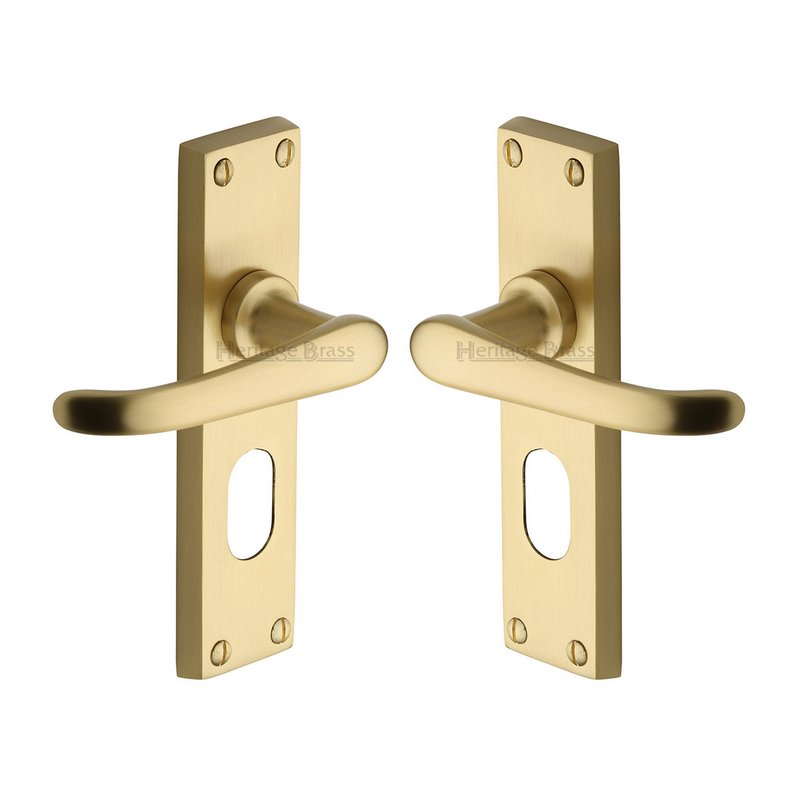 Windsor Door Handle on Plate - V725-SB