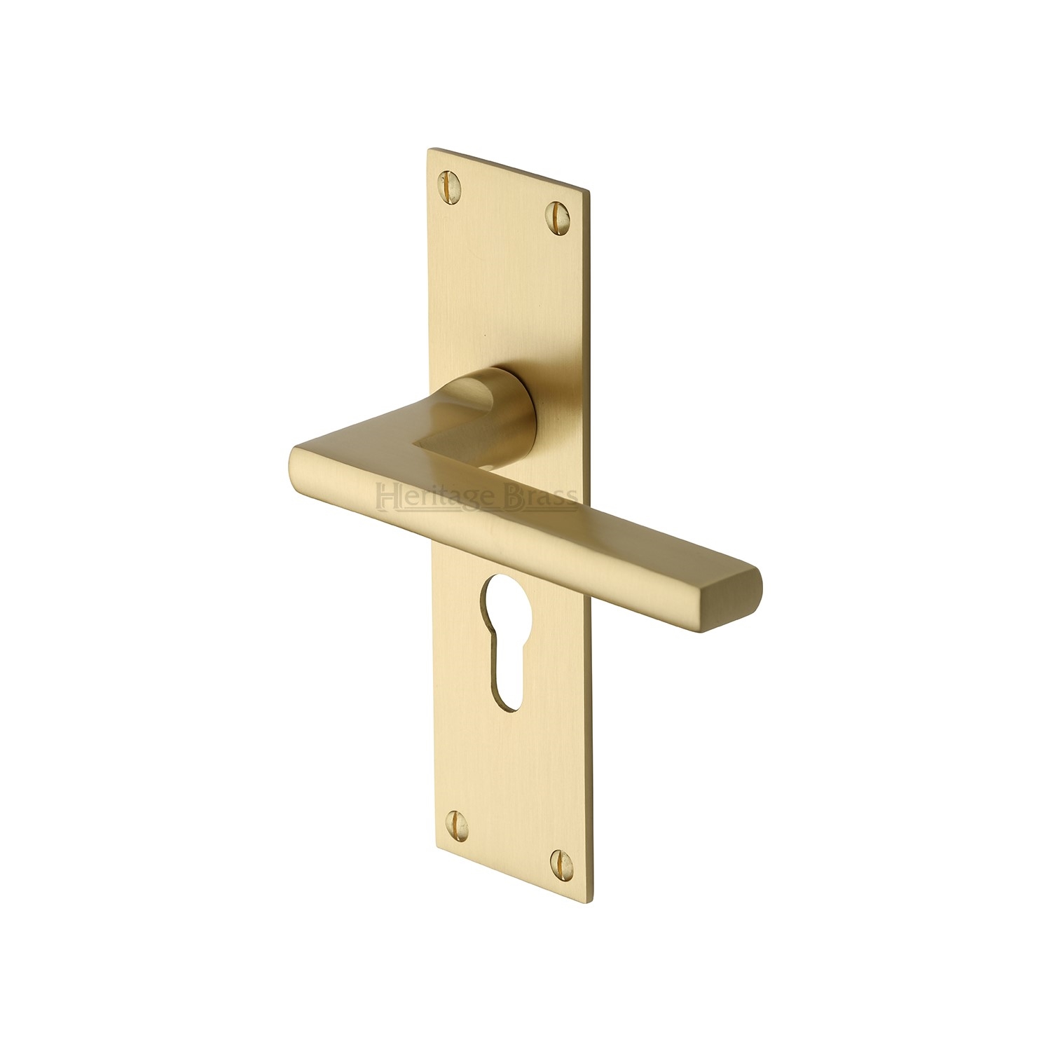 Trident Door Handle on Plate - TRI1348-SB